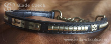 Staffordshire Bull Terrier collars and leashes